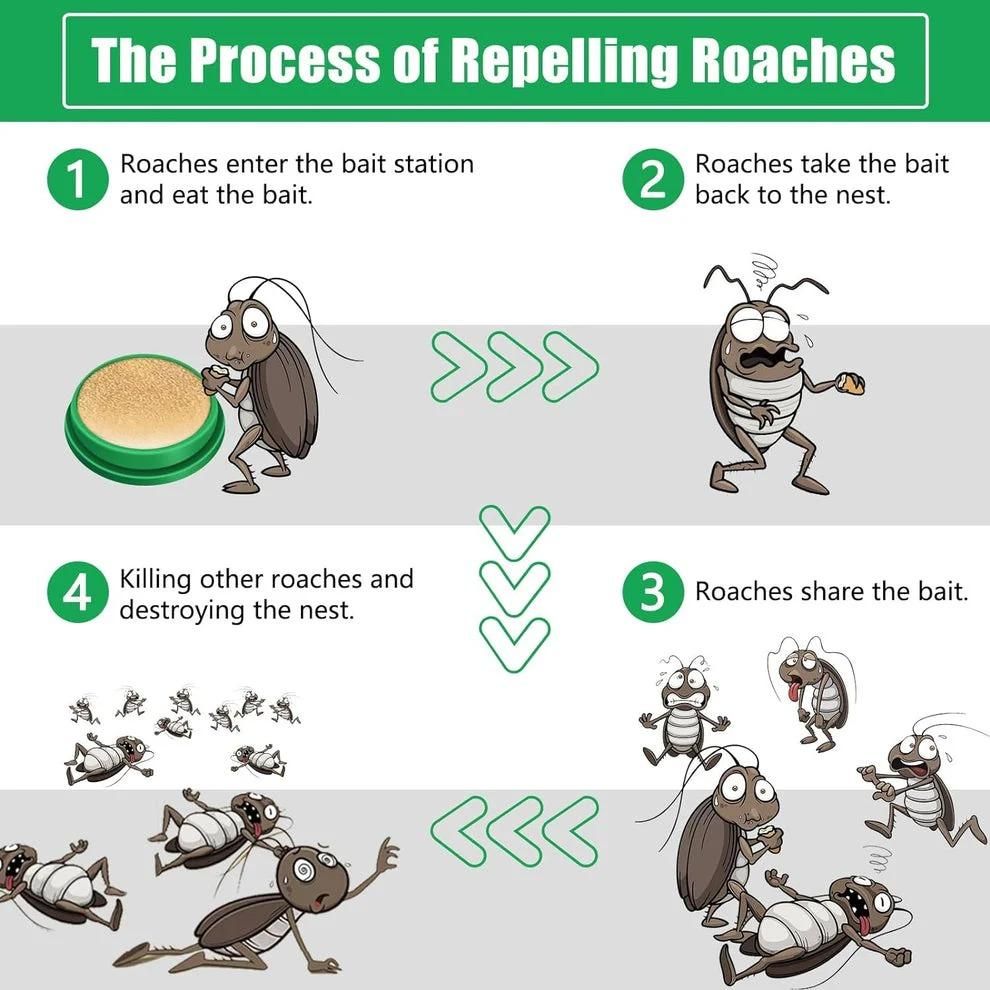 Advance Cockroach Killer Gel | FLAT 50% OFF TODAY